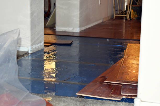 Professional Water Damage Restoration technician working in Orrs Island, ME